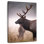 Brampt Mighty Bull Elk