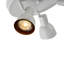 Rolfes directionnel et projecteur