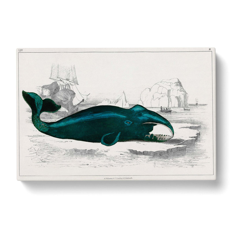 Beached Whale by Oliver Goldsmith - Wrapped Canvas Painting Pint, 40cm H x 60cm W x 3cm D