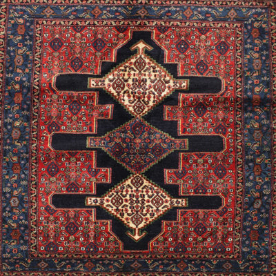 Southwestern Indoor Rug