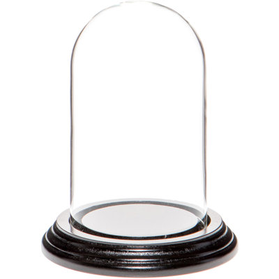 Cloche en verre 3 "x 5" Vucciria