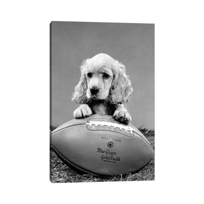 1960s Cocker Spaniel Puppy with Front Paw Resting on American Football 1 Piece Wrapped Canvas Wall Art