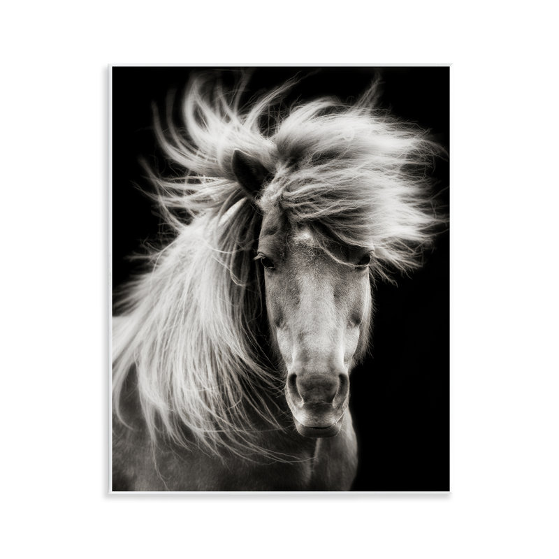 «Mane Horse», art par PHBurchett