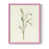 Pink is out of stock