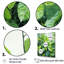 «Urban Leaves Forest Greenery - Leaves», reproduction sur toile encadrée-1228744535-1228744532