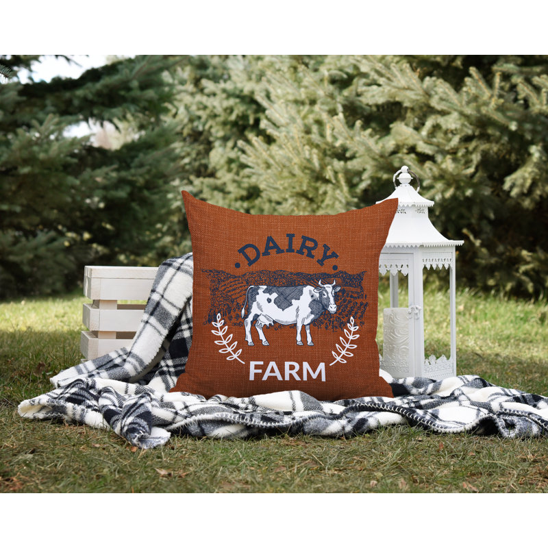 Oreiller intérieur / extérieur Bety Barnyard, L 19 po x H 19 po, Orange brûlé