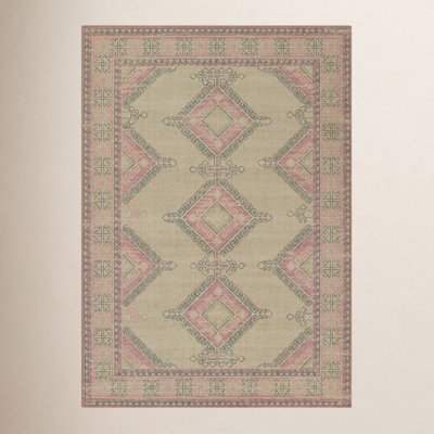 Aldona Pink Brown Oriental Rug
