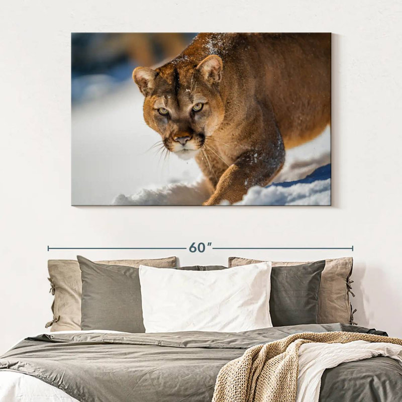 Brampt Cougar In Snow, 34" H x 51" W