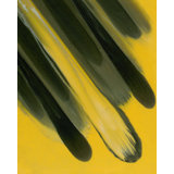 Projection Print by Blakely Bering