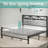 Wykeisha Platform Bed-1159606153-1159606155