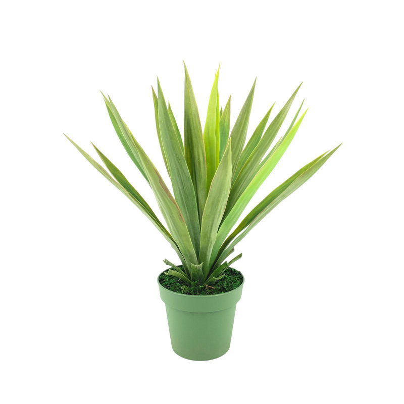 24 " H Faux Yucca Succulent in Plastic Planter