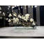 Sloped Glass Planter With White Magnolias
