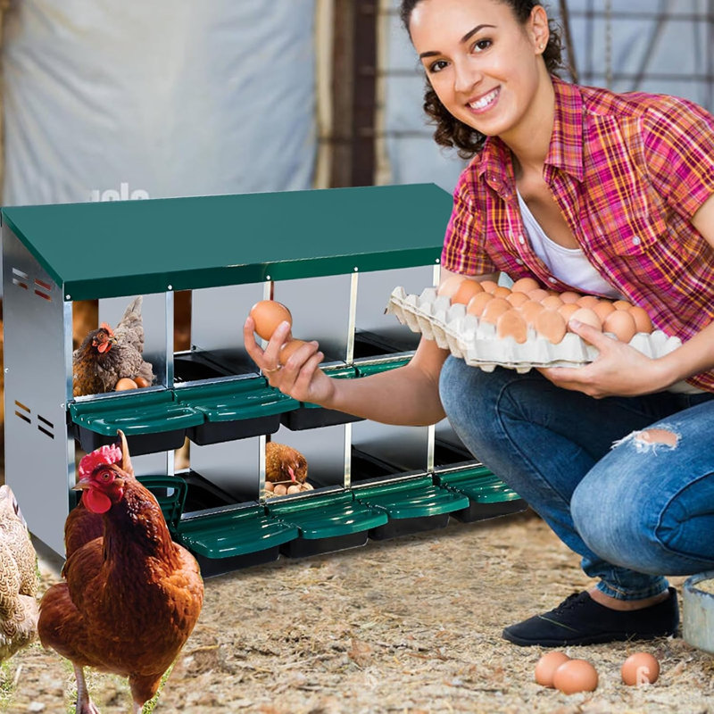 Boîte de nidification à 10 compartiments pour poulets roulants avec couvercle et perchoir pivotant