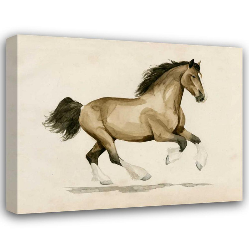 Ophelia & Co. Popp, Grace Gallery Wrapped Canvas Art Titled: Clydesdale I, 36" H x 44" W