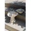 Eloise Bowl-555958719