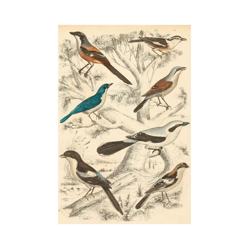 Avian Habitat V by Milne - Wrapped Canvas Print, 152.5 cm H x 101.5 cm W