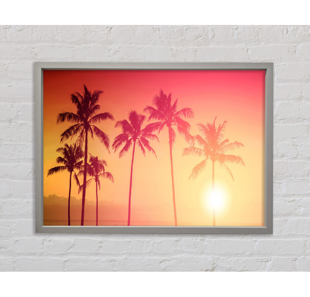 Palm Tree Haze - Einzelner Bilderrahmen Kunstdrucke auf Leinwand