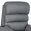 Charlestine 80cm Wide Lift Assist Standard Recliner-148771335