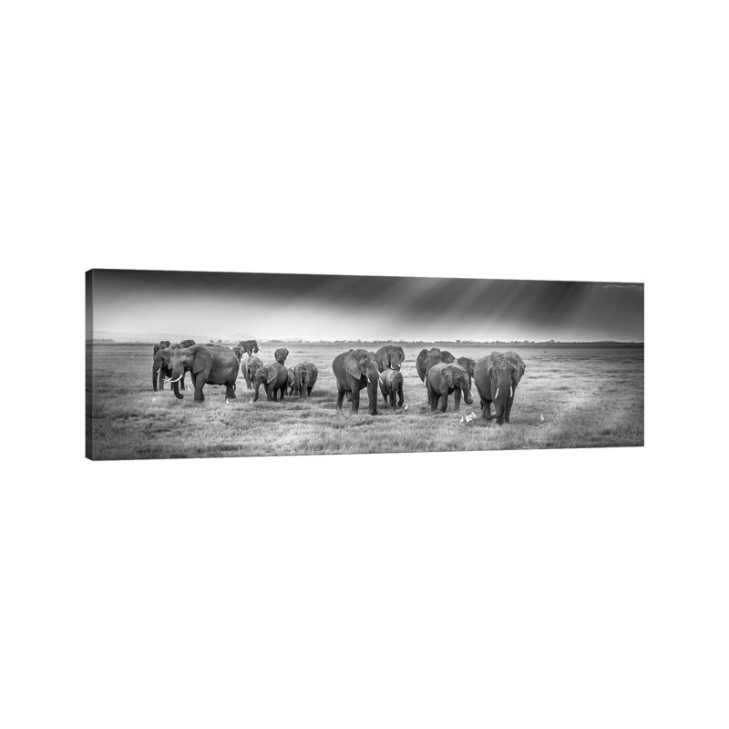Breakfast With Pachyderms by Jeffrey C. Sink - Wrapped Canvas Panoramic Print
