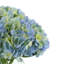 Hydrangea Bouquet-1894723919