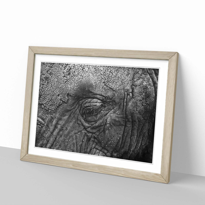 Elephant - Picture Frame Graphic Art Print, 62cm H x 87cm W x 2cm D, Oak Framed