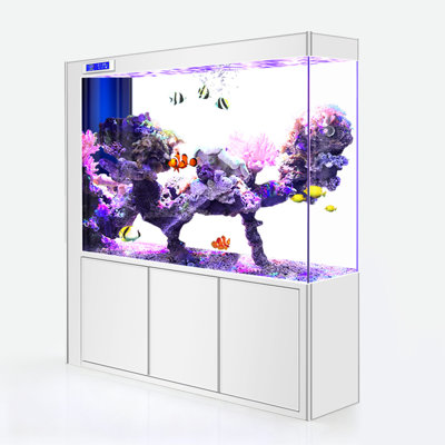 Clear Glass Extra-Large Rectangular Aquariums Tank