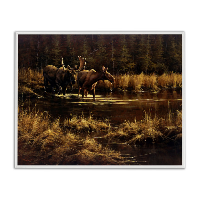 Orignal au ruisseau, estampe numérique, design par Paco Young, H 16 po x l 20 po, Giclée encadrée blanc bord de mer