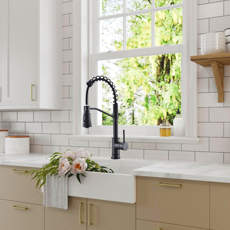 Fapully Pull Out Kitchen Faucet