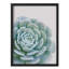 Rosette verte douce, gros plan, illustration botanique, petit décor, œuvre d'art-101376606-101376608