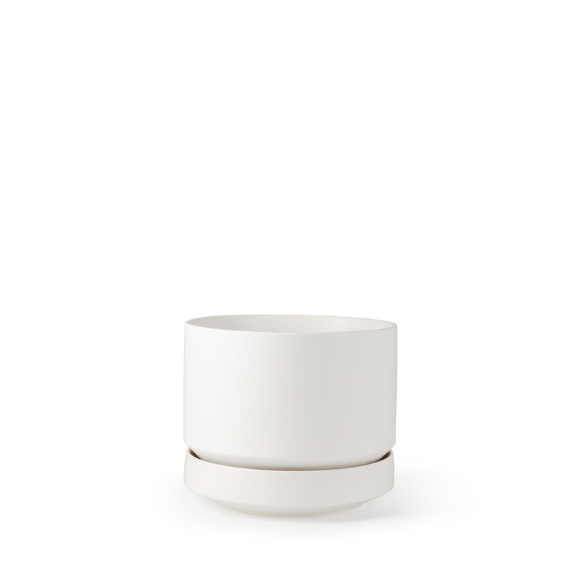 Pot à fleurs en céramique Byer, Blanc, H 4,25 po x l 5 po x P 5 po