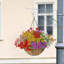 Ottosen Silk Daisy Arrangement