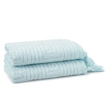 https://assets.wfcdn.com/im/80516829/resize-h210-w210%5Ecompr-r85/1350/135060517/Troya+Turkish+Rayon+from++Bamboo+Hand+Towel+%28Set+of+2%29.jpg