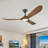 3-Blade Indoor Smart Ceiling Fan with Light and Remote/APP Control,3 LED Colors,6 Speed Quite DC Motor,Timer-1529255-17103311