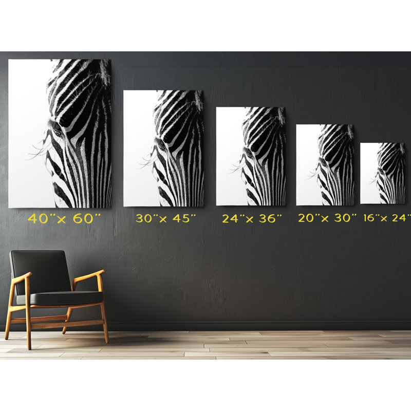 Zebra Black and White Canvas Print