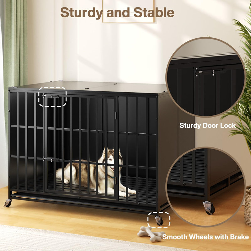 Cage pour chien 48 pouces indestructible