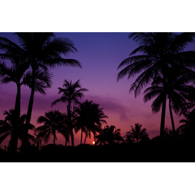 Palmtrees Silhouette - Wrapped Canvas Print