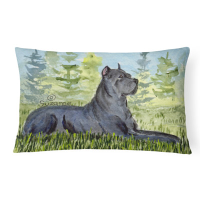 Coussin décoratif intérieur/extérieur corso canne