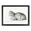 Peaceful Cat by Jean Bernard - Picture Frame Drawing Print-55577984-55577985