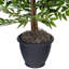 Artificiel vert Smilax Series-1184668334