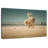 Crowle Playful Golden Retriever