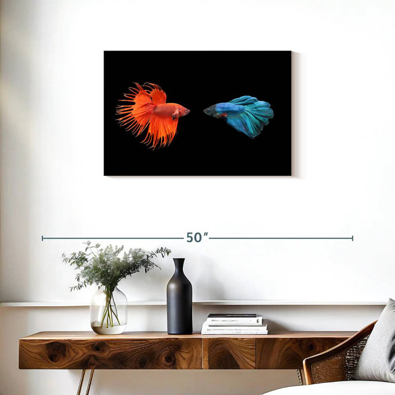 Brampt Betta Fish Meet, 20" H x 30" W