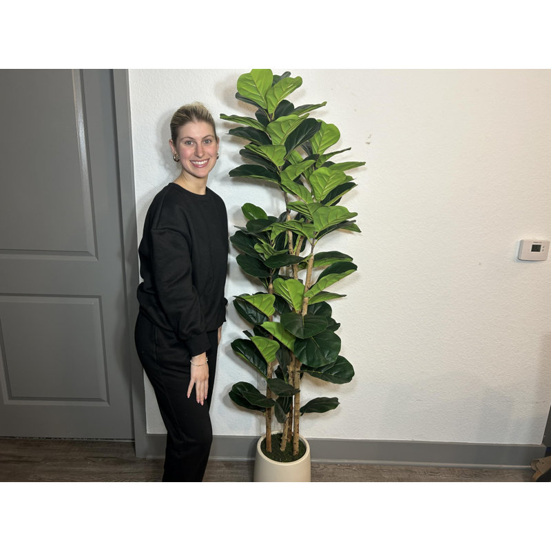 Large Artificial Fiddle Leaf Fig Tree – Faux Indoor/Outdoor Plant with 107 Realistic Leaves & White Pot – Home, Office, Store, Living Room Display