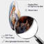 Art mural Pelican-375142827