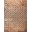 Rapture Trellis Area Rug-1473244160