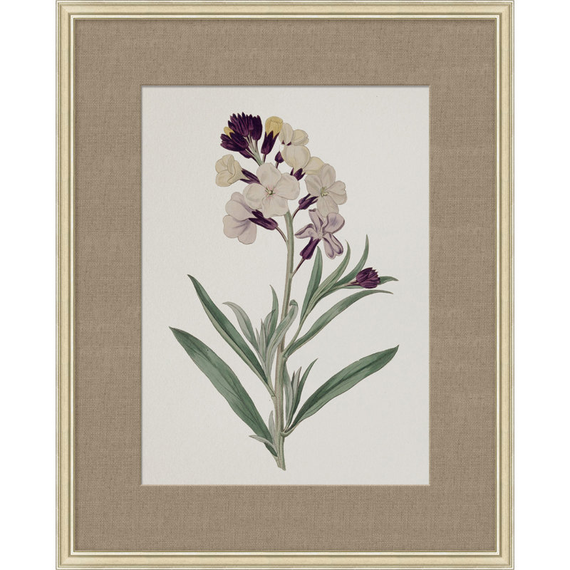 Floral Study In Plum 5 Painting