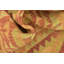 Tapis de la zone en laine rouge/vert/brun clair 3 pi x 4 pi 5 po one-of-kind-noué la main Elland