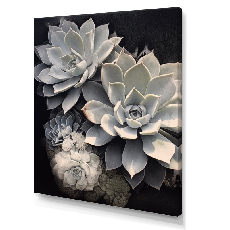 " Grey White Resilience Succulent ", Wrapped Canvas, 40" H x 30" W x 1.5" D