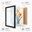 Daffodil Study Botanical - Framed Print-774856477-774856479