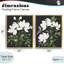 Ensemble de cadres flottants 2 pièces White On Black Blooms, design par Lucille Price-1022302965-1022302970