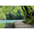 Lynse Wooden Path Near A Forest Lake - Wrapped Canvas Print-445592803